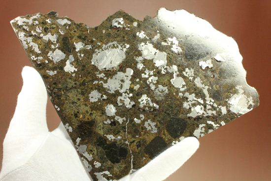 博物館クラス！！コレクターが憧れる標本！1879年5月10日に落下したメソシデライト隕石（その11）