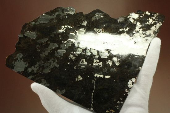 博物館クラス！！コレクターが憧れる標本！1879年5月10日に落下したメソシデライト隕石（その12）