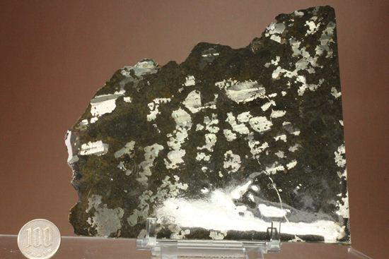 博物館クラス！！コレクターが憧れる標本！1879年5月10日に落下したメソシデライト隕石（その15）