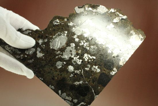 博物館クラス！！コレクターが憧れる標本！1879年5月10日に落下したメソシデライト隕石（その8）