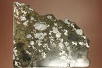 博物館クラス！！コレクターが憧れる標本！1879年5月10日に落下したメソシデライト隕石