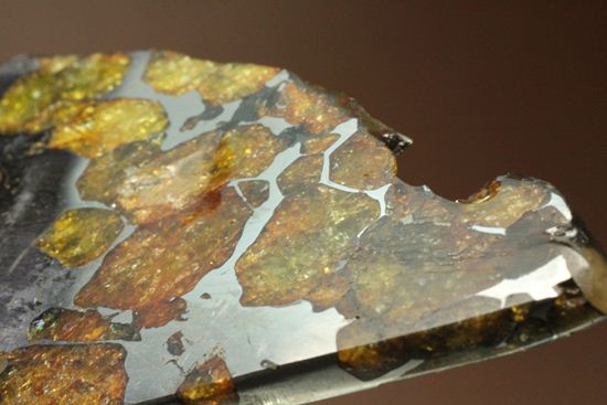 チリのアタカマ砂漠で見つかった、最も希少な石鉄隕石イミラック(Imilac)（その9）