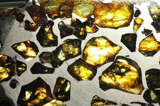 2009年に特別に切り出された、隕石ハンターロバート・ハーグコレクション品！世界で最も美しいと称される石鉄隕石（その1）