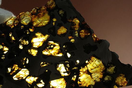 2009年に特別に切り出された、隕石ハンターロバート・ハーグコレクション品！世界で最も美しいと称される石鉄隕石（その11）