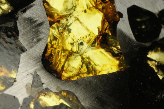 2009年に特別に切り出された、隕石ハンターロバート・ハーグコレクション品！世界で最も美しいと称される石鉄隕石（その15）