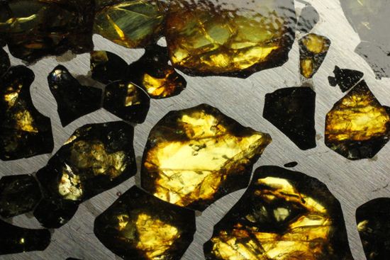 2009年に特別に切り出された、隕石ハンターロバート・ハーグコレクション品！世界で最も美しいと称される石鉄隕石（その16）