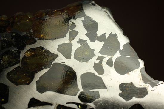 2009年に特別に切り出された、隕石ハンターロバート・ハーグコレクション品！世界で最も美しいと称される石鉄隕石（その3）