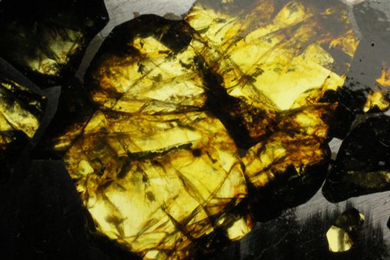 2009年に特別に切り出された、隕石ハンターロバート・ハーグコレクション品！世界で最も美しいと称される石鉄隕石（その8）
