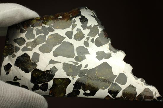2009年に特別に切り出された、隕石ハンターロバート・ハーグコレクション品！世界で最も美しいと称される石鉄隕石（その9）