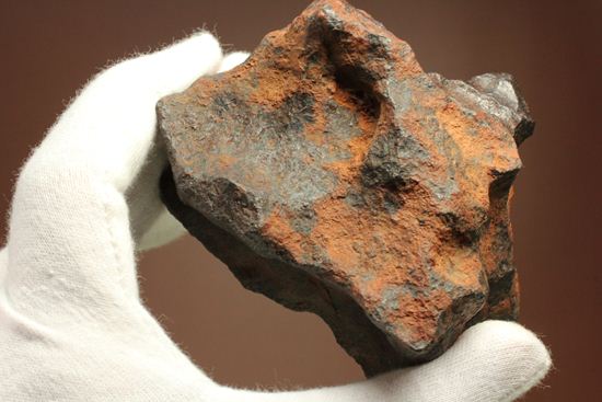 形状の美しさが際立つ、博物館級ヘンバリー鉄隕石(HENBURY)（その1）