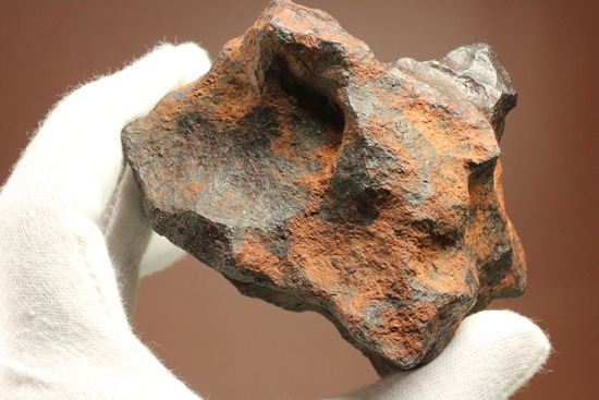 形状の美しさが際立つ、博物館級ヘンバリー鉄隕石(HENBURY)（その10）