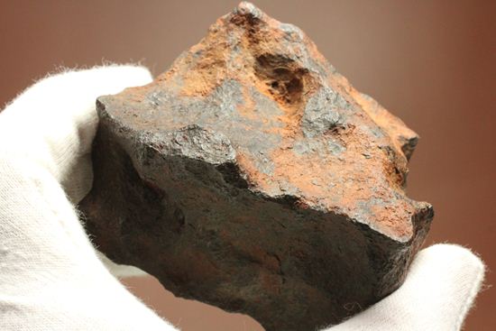 形状の美しさが際立つ、博物館級ヘンバリー鉄隕石(HENBURY)（その11）