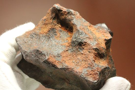 形状の美しさが際立つ、博物館級ヘンバリー鉄隕石(HENBURY)（その12）