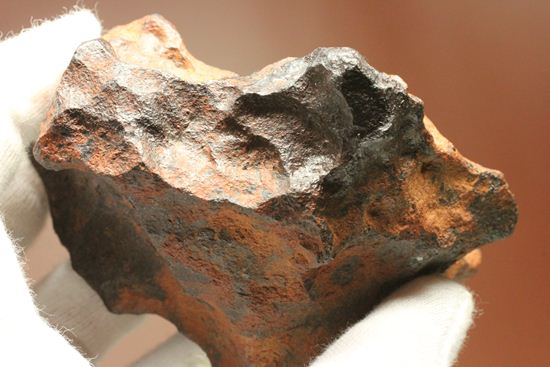 形状の美しさが際立つ、博物館級ヘンバリー鉄隕石(HENBURY)（その13）