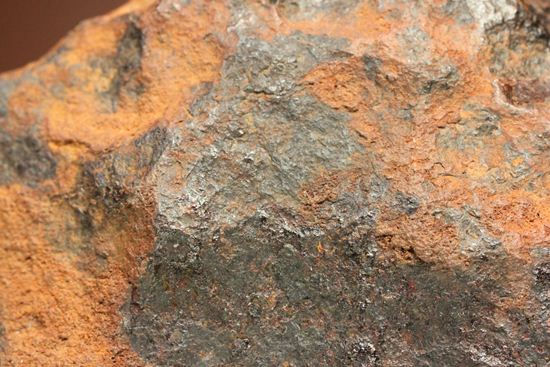 形状の美しさが際立つ、博物館級ヘンバリー鉄隕石(HENBURY)（その16）