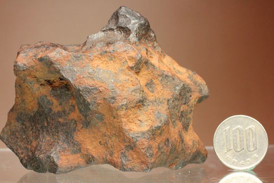 形状の美しさが際立つ、博物館級ヘンバリー鉄隕石(HENBURY)（その19）