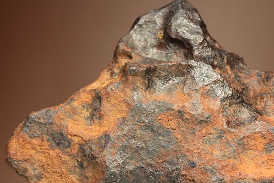 形状の美しさが際立つ、博物館級ヘンバリー鉄隕石(HENBURY)（その4）