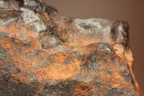 形状の美しさが際立つ、博物館級ヘンバリー鉄隕石(HENBURY)（その5）
