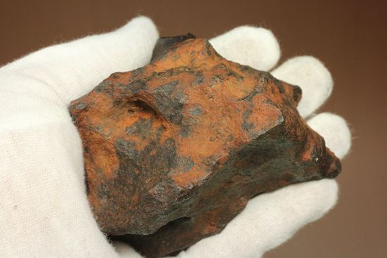 形状の美しさが際立つ、博物館級ヘンバリー鉄隕石(HENBURY)（その9）