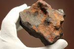 形状の美しさが際立つ、博物館級ヘンバリー鉄隕石(HENBURY)