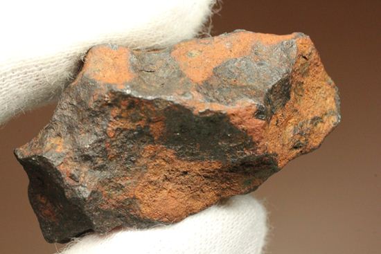 美しいキャラメル色！1931年オーストラリアで発見された鉄隕石（Hembery）（その8）