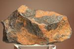 美しいキャラメル色！1931年オーストラリアで発見された鉄隕石（Hembery）