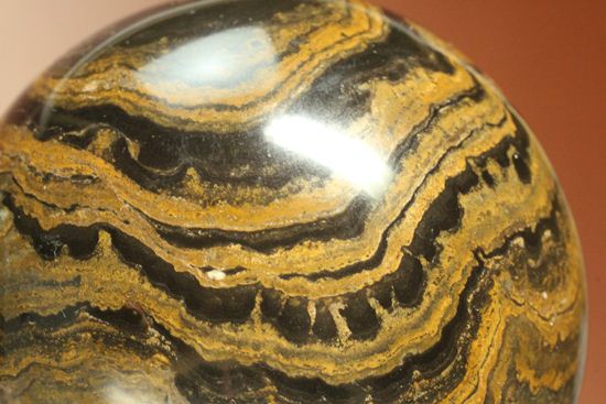 地球に酸素を大量提供したと、どうして言えるの？生きた化石こと、ストロマトライト445ｇＢＩＧサイズ(Stromatolite)（その3）