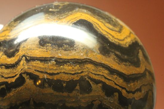 地球に酸素を大量提供したと、どうして言えるの？生きた化石こと、ストロマトライト445ｇＢＩＧサイズ(Stromatolite)（その4）