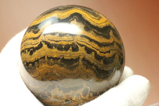 地球に酸素を大量提供したと、どうして言えるの？生きた化石こと、ストロマトライト445ｇＢＩＧサイズ(Stromatolite)（その8）