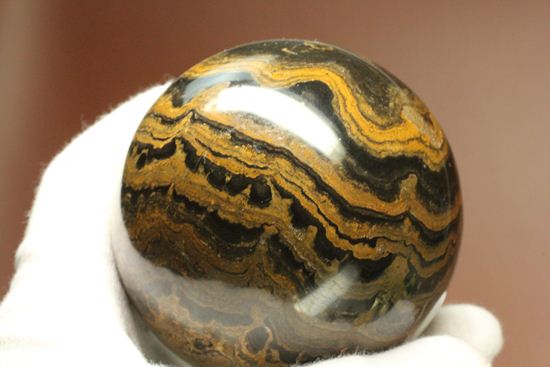 地球に酸素を大量提供したと、どうして言えるの？生きた化石こと、ストロマトライト445ｇＢＩＧサイズ(Stromatolite)（その9）