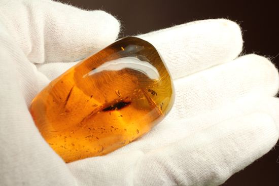 あのジュラシックパークで取り上げられたドミニカ産！手のひらサイズ大迫力虫入り琥珀(Amber)（その1）