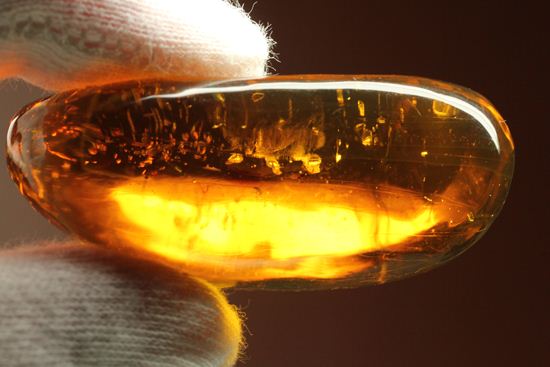 あのジュラシックパークで取り上げられたドミニカ産!手のひらサイズ大迫力虫入り琥珀(Amber)(その3)