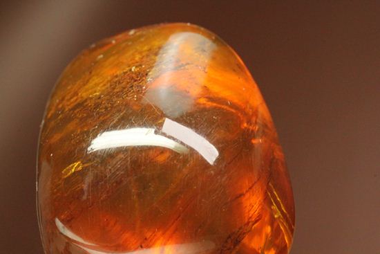 ドミニカの2000万年前の泡が閉じ込められた手のひらサイズ琥珀(Amber)（その11）