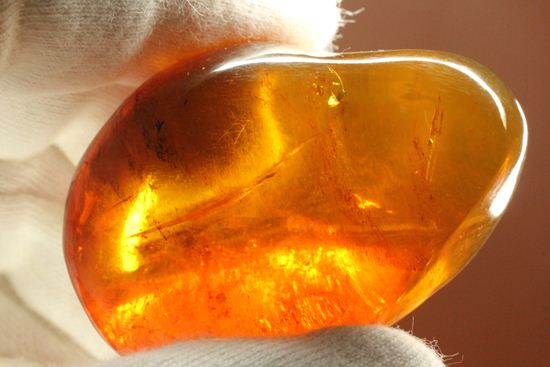 ドミニカの2000万年前の泡が閉じ込められた手のひらサイズ琥珀(Amber)（その13）