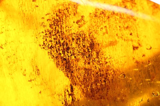 ドミニカの2000万年前の泡が閉じ込められた手のひらサイズ琥珀(Amber)（その6）