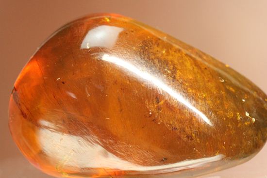 ドミニカの2000万年前の泡が閉じ込められた手のひらサイズ琥珀(Amber)（その7）