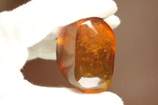 ドミニカの2000万年前の泡が閉じ込められた手のひらサイズ琥珀(Amber)（その8）