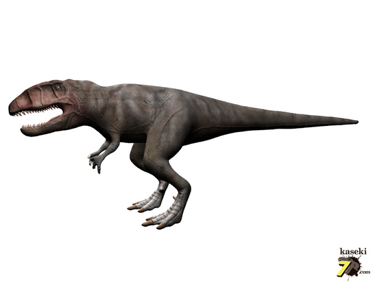 巨大！カルカロドントサウルスのフットクロウ接骨化石(Carcharodontosaurus)（その3）