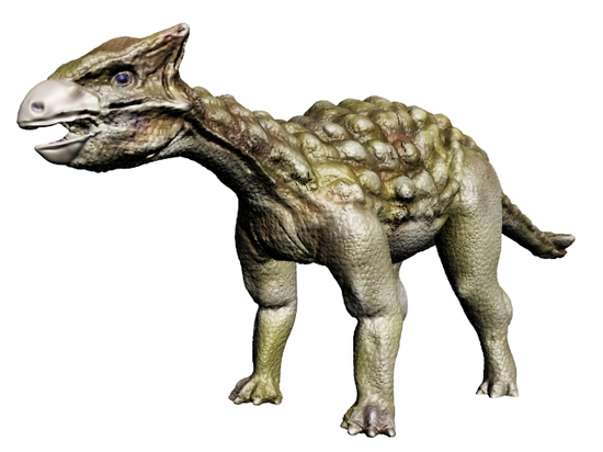 アンキロサウルスの装甲化石(その2)