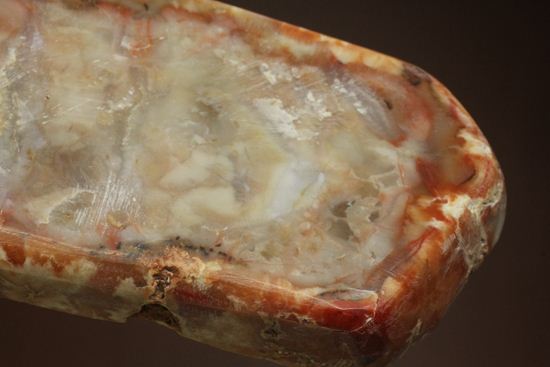 恐竜のウンチ化石、コプロライト(coprolite)(その1)