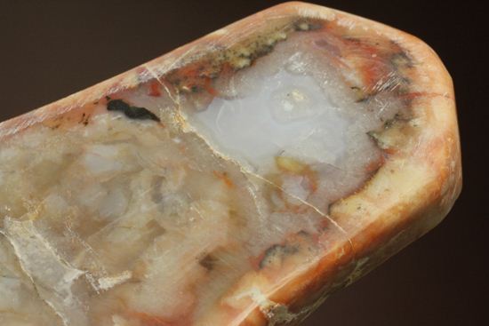恐竜のウンチ化石、コプロライト(coprolite)(その10)