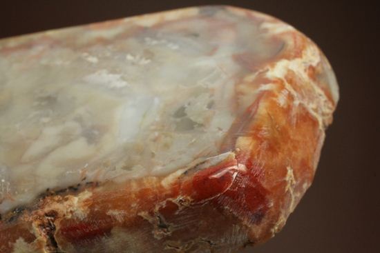 恐竜のウンチ化石、コプロライト(coprolite)(その15)