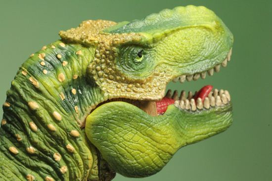 ティラノサウルス恐竜フィギュア（アゴ可動式）本物化石1個付き）（その14）