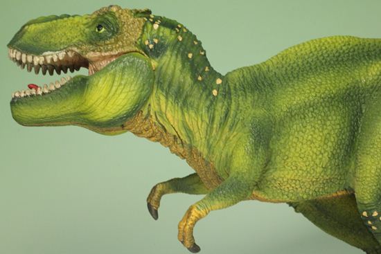 ティラノサウルス恐竜フィギュア（アゴ可動式）本物化石1個付き）（その2）