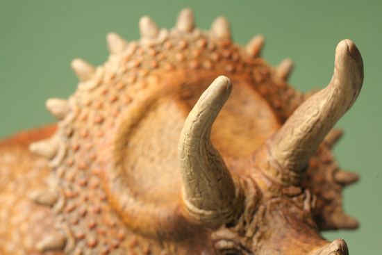トリケラトプス恐竜フィギュア（本物化石1個付き）（その10）
