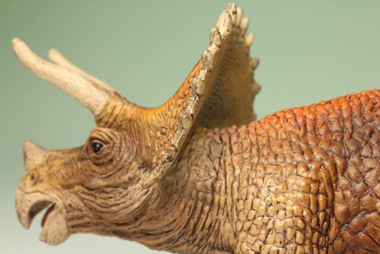 トリケラトプス恐竜フィギュア（本物化石1個付き）（その13）