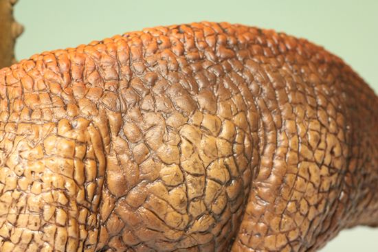 トリケラトプス恐竜フィギュア（本物化石1個付き）（その14）
