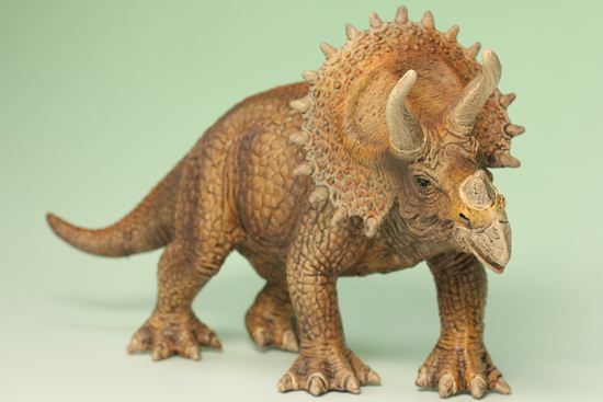 トリケラトプス恐竜フィギュア(本物化石1個付き)(その19)