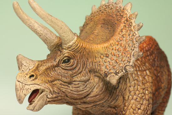 トリケラトプス恐竜フィギュア（本物化石1個付き）（その4）