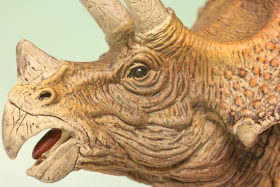 トリケラトプス恐竜フィギュア（本物化石1個付き）（その5）